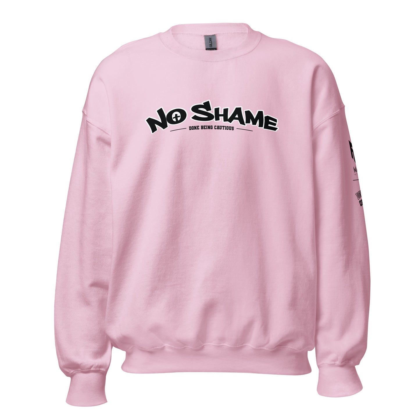 No Shame Arc Sweatshirt (10 colors)