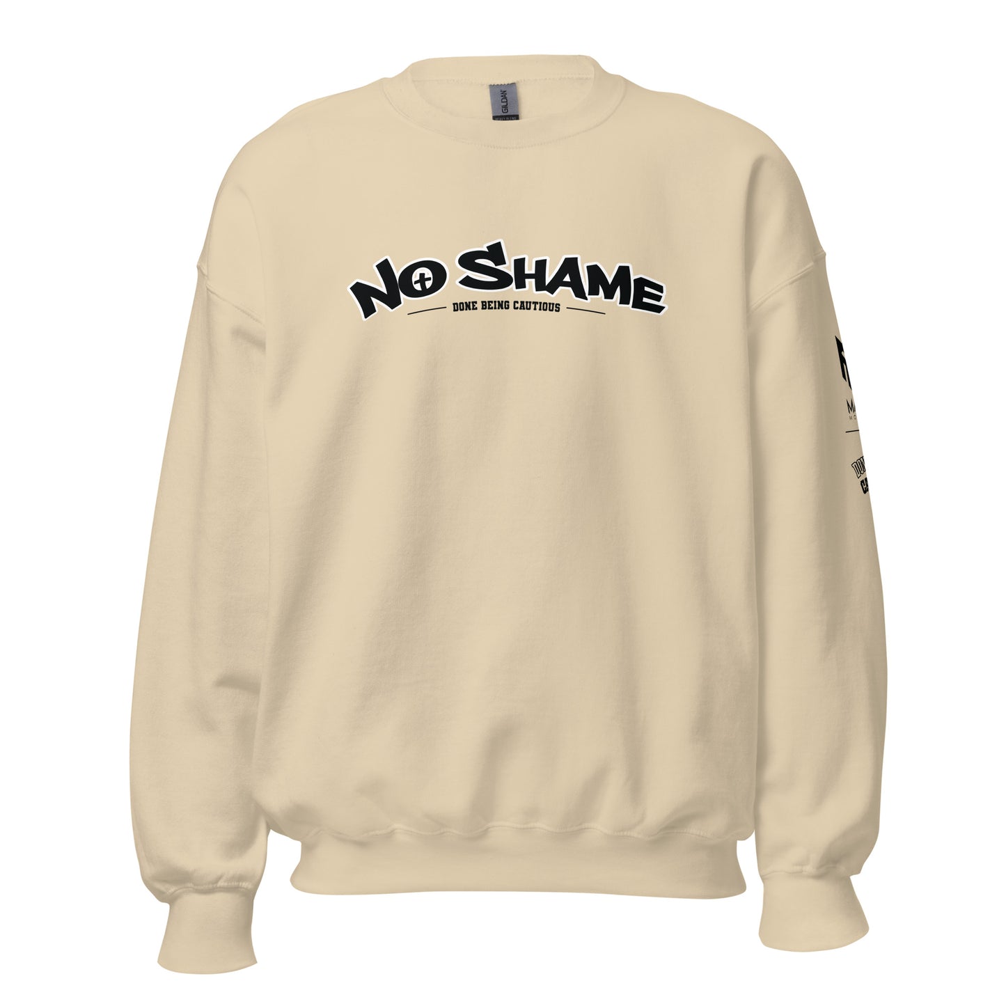 No Shame Arc Sweatshirt (10 colors)