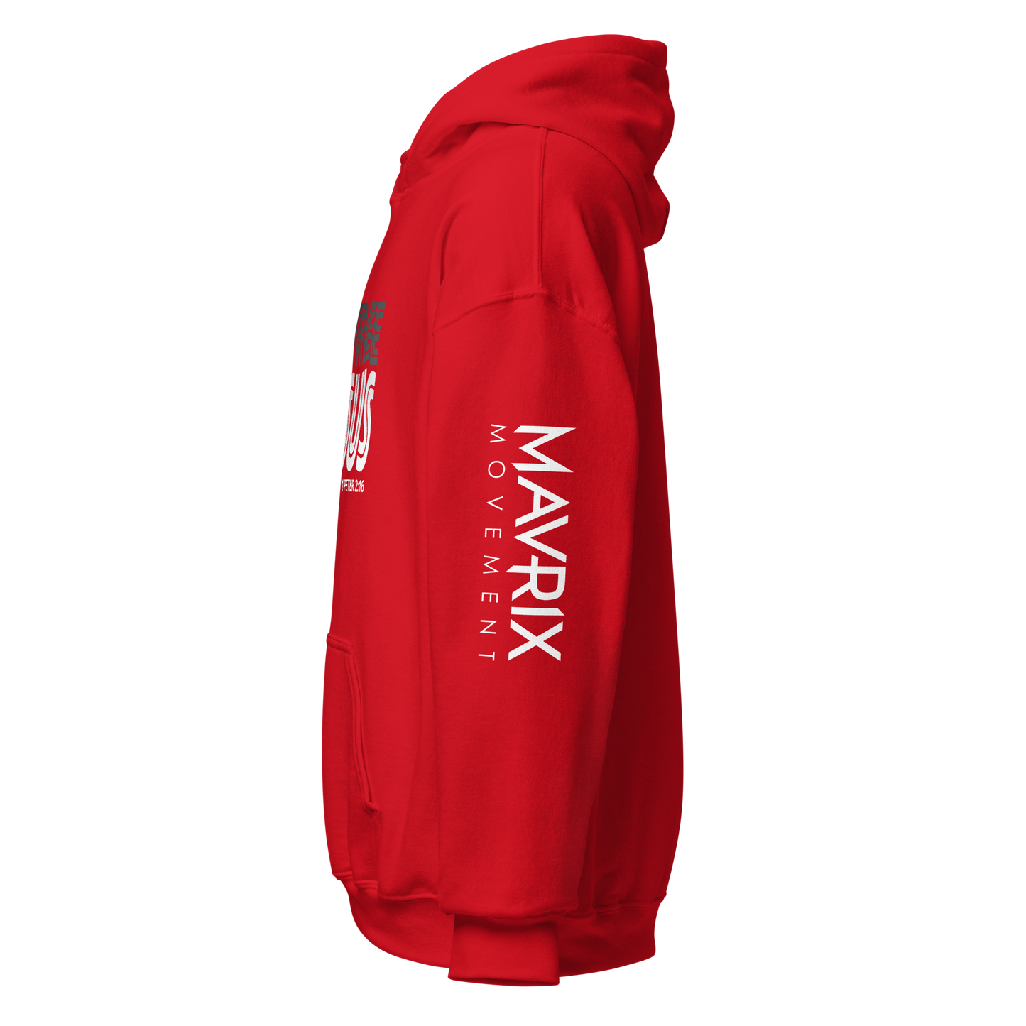 #LIVEFREEINJESUS Hoodie (3 colors)